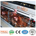 Uso de aves de corral galvanizado tipo jaulas